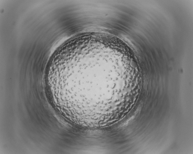 X0000088020893200705251049