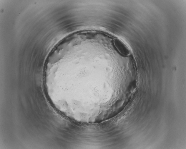 X0000088020895200705251049