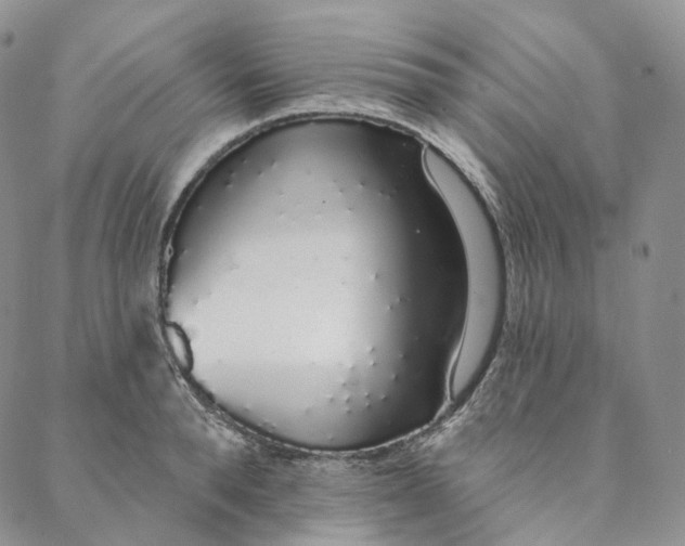 X0000088020896200705251049