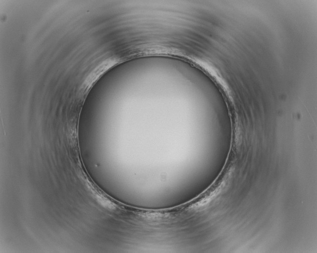 X0000088020897200705251049