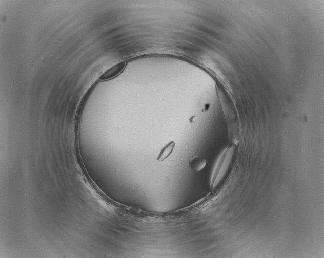 X0000088020898200705251049