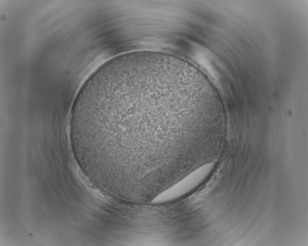 X0000088020899200705251049