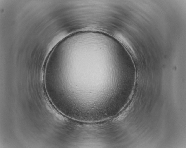 X0000088020900200705251049