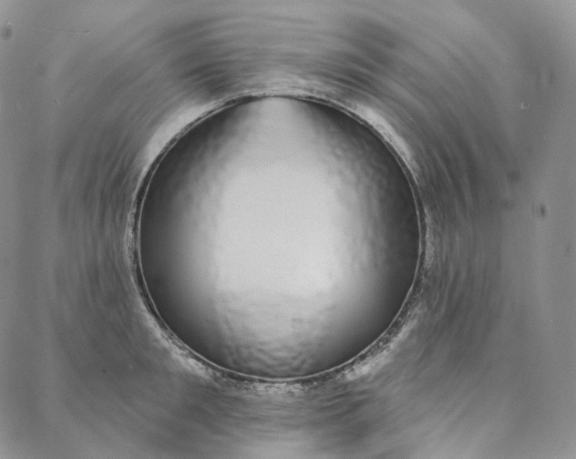 X0000088020901200705251049