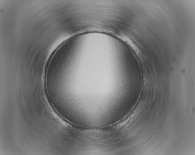 X0000088020902200705251048