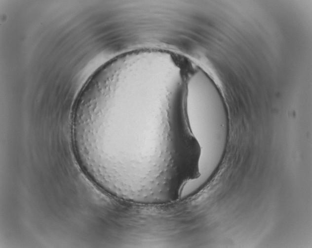 X0000088020903200705251048