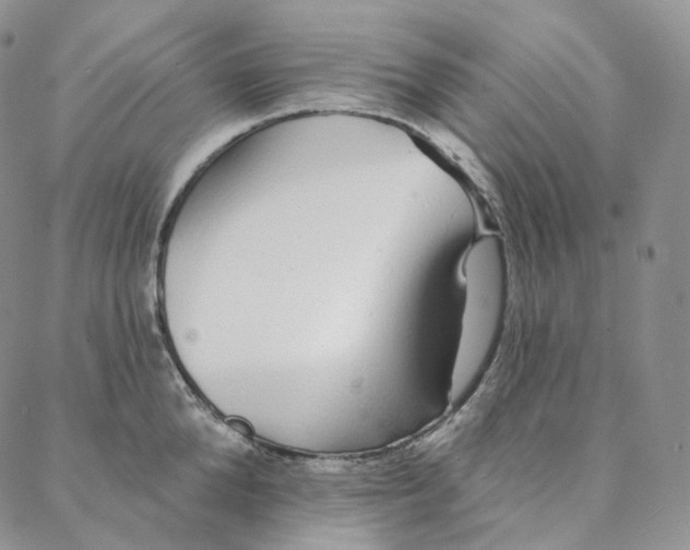 X0000088020904200705251048