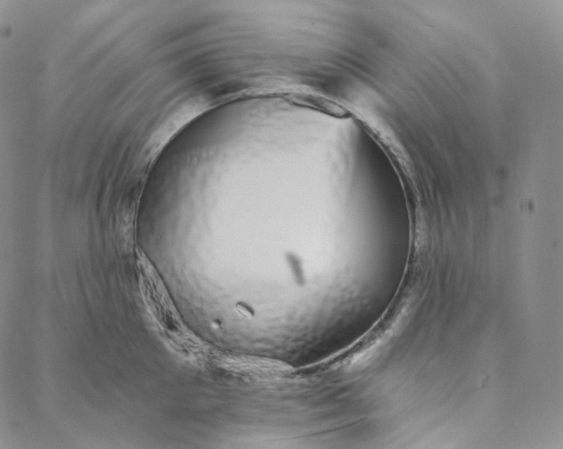 X0000088020905200705251048