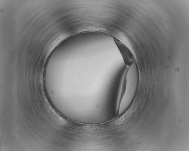 X0000088020906200705251048