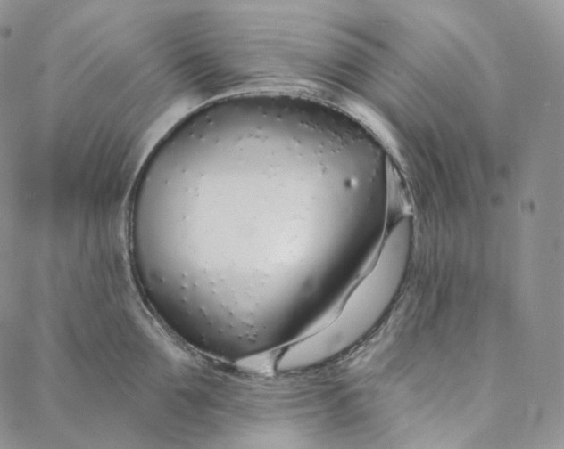 X0000088020907200705251048