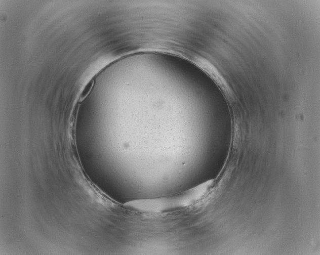 X0000088020908200705251048