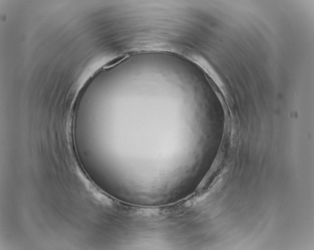 X0000088020909200705251048