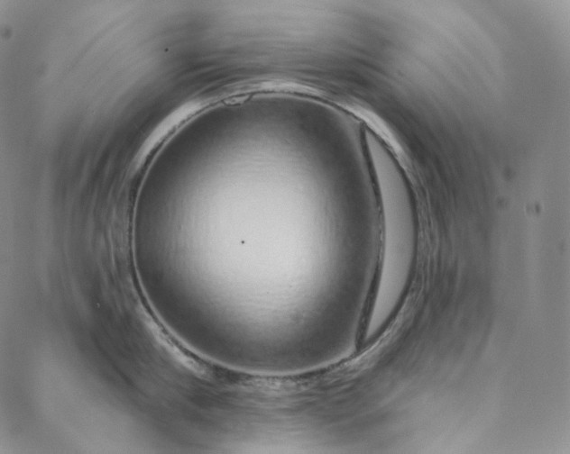 X0000088020910200705251048