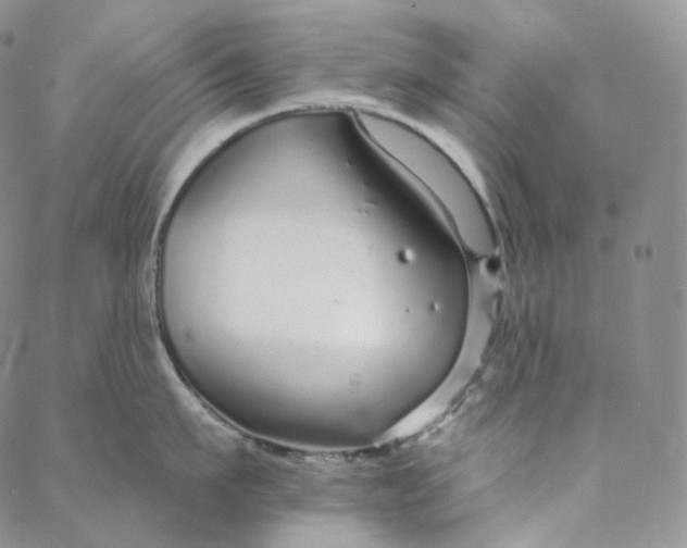 X0000088020911200705251048