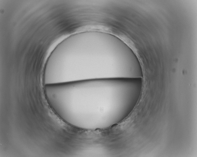 X0000088020912200705251048