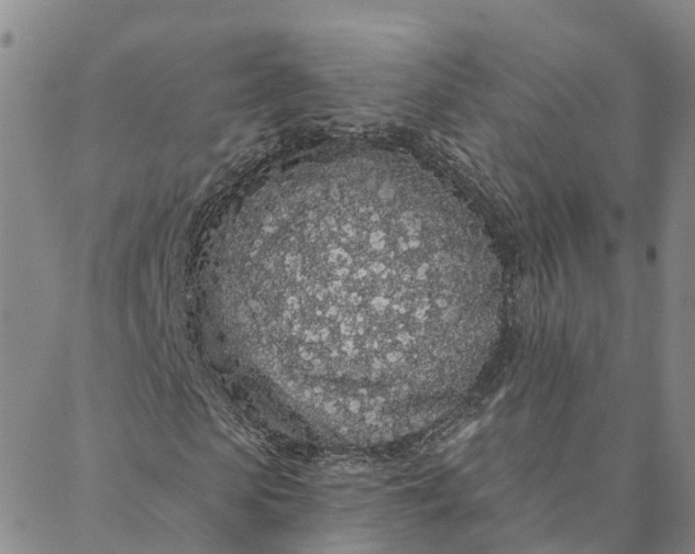 X0000088020913200705251048