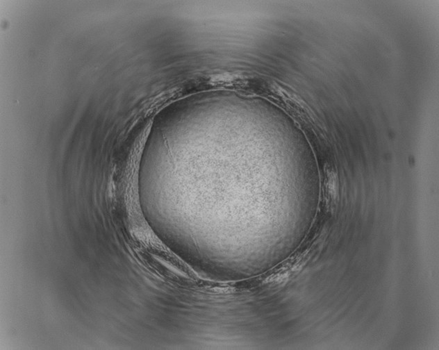 X0000088020914200705251048