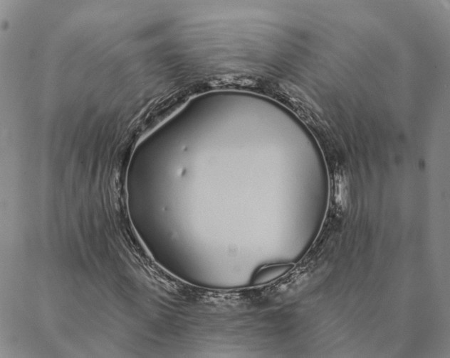 X0000088020915200705251048