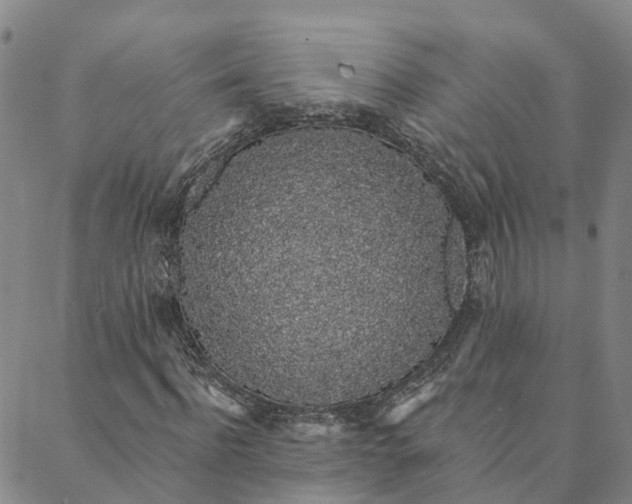 X0000088020916200705251048