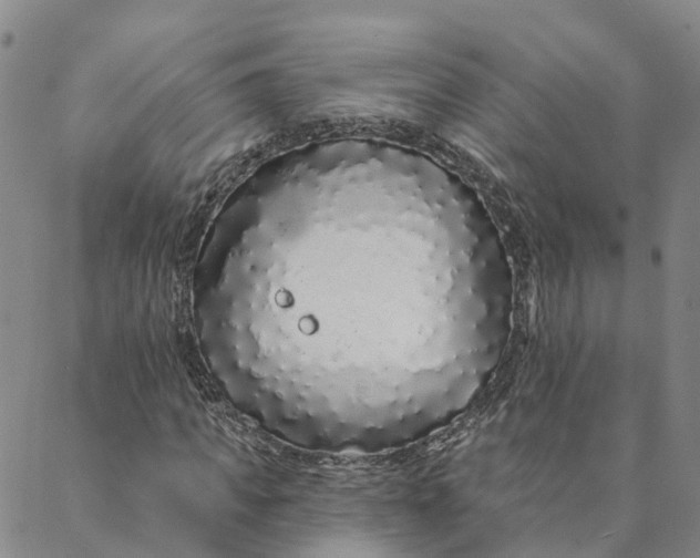 X0000088020917200705251048