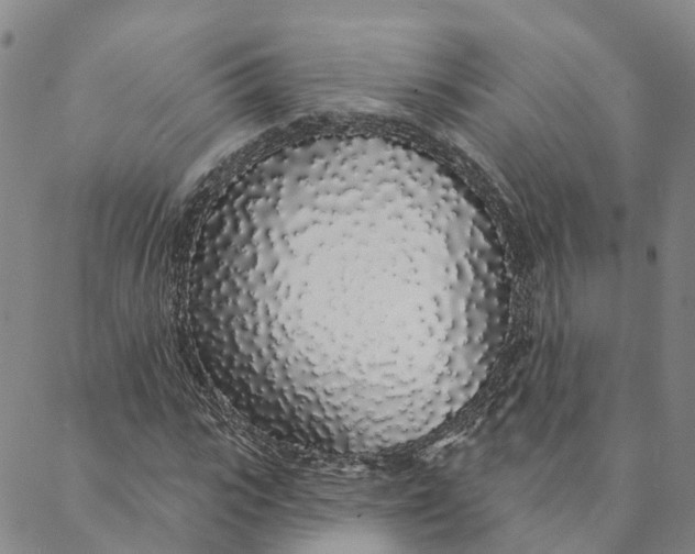 X0000088020919200705251048