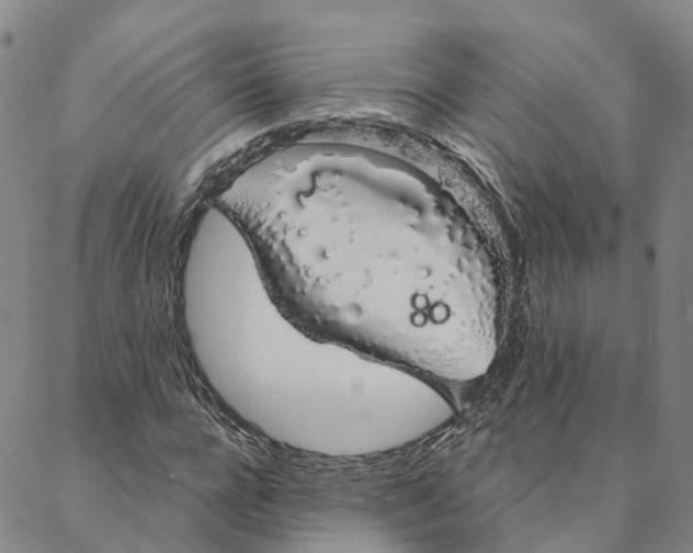 X0000088020920200705251048