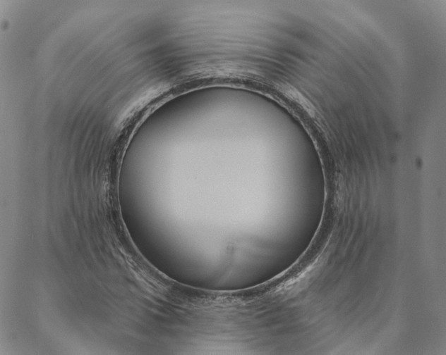 X0000088020922200705251048