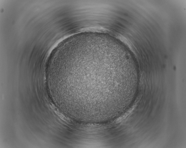 X0000088020923200705251048