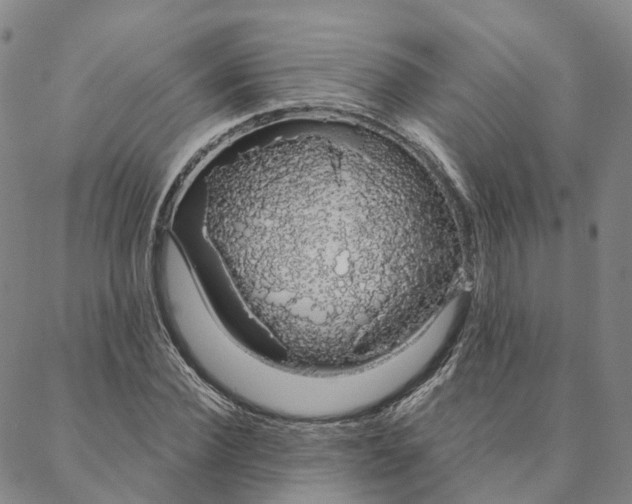 X0000088020924200705251048