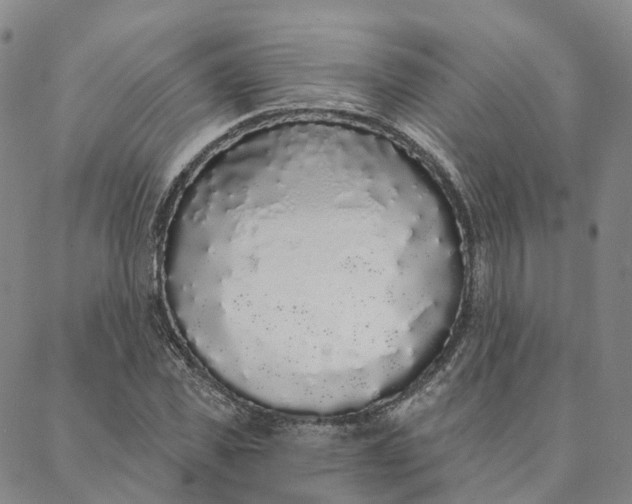 X0000088020925200705251048