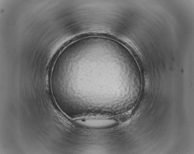 X0000088020926200705251048