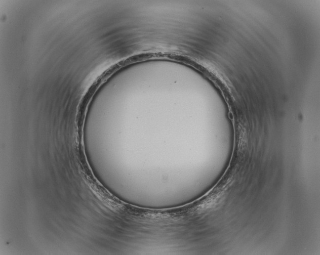 X0000088020927200705251048