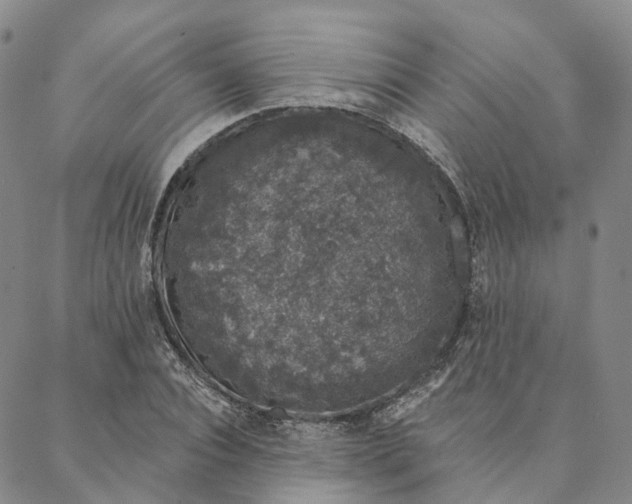 X0000088020928200705251048