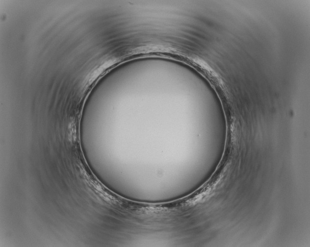 X0000088020929200705251048