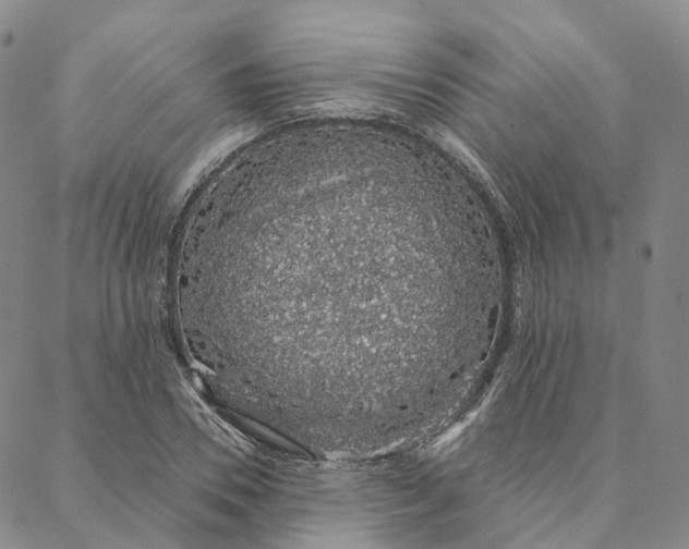 X0000088020930200705251048