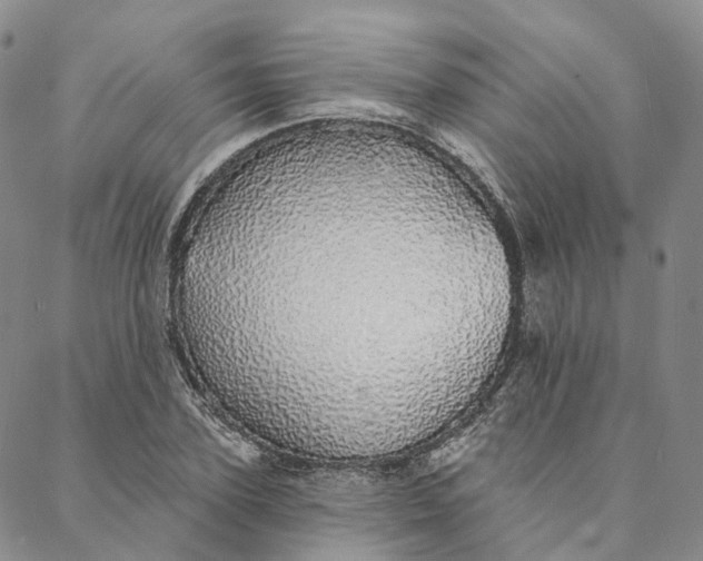 X0000088020931200705251048