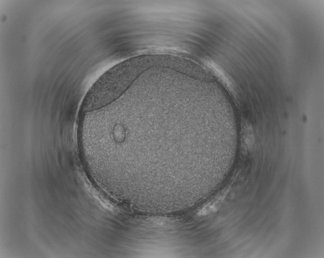 X0000088020932200705251048