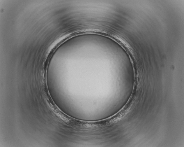 X0000088020933200705251048