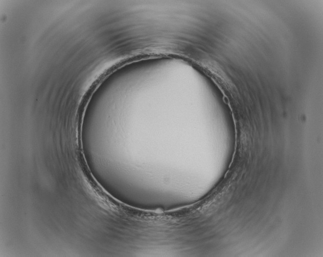 X0000088020934200705251048