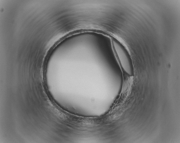 X0000088020935200705251048