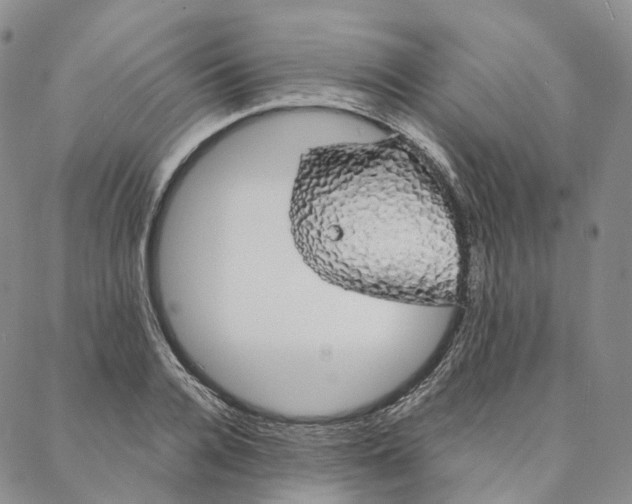 X0000088020936200705251048