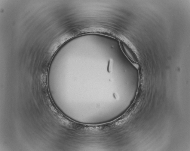 X0000088020937200705251048