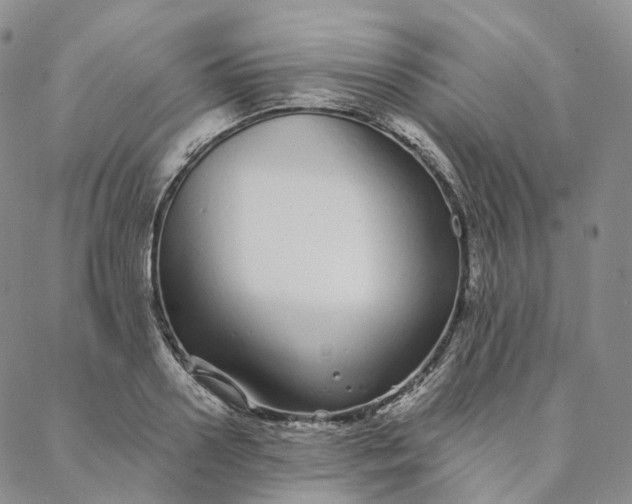 X0000088020938200705251048