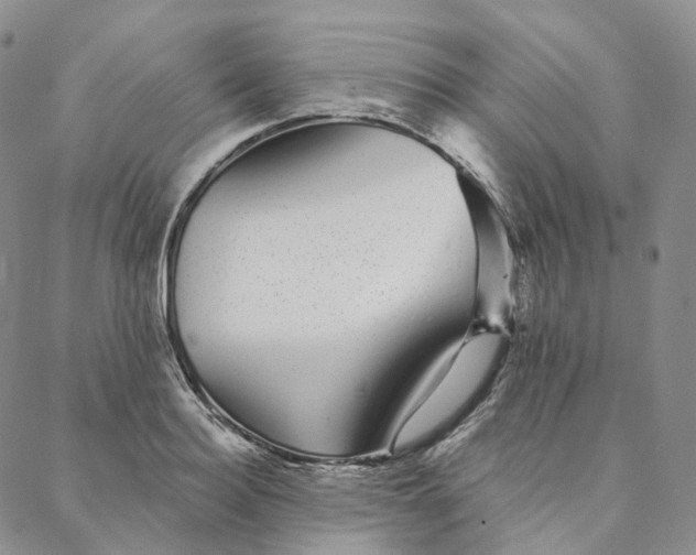 X0000088020940200705251048