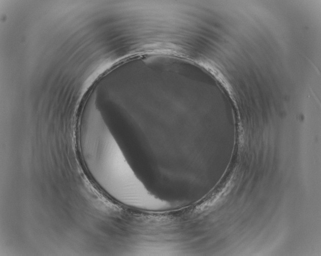 X0000088020941200705251048