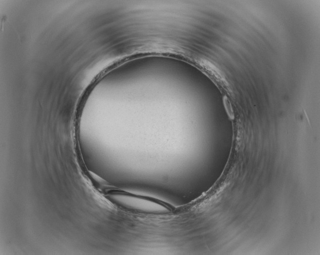 X0000088020942200705251048