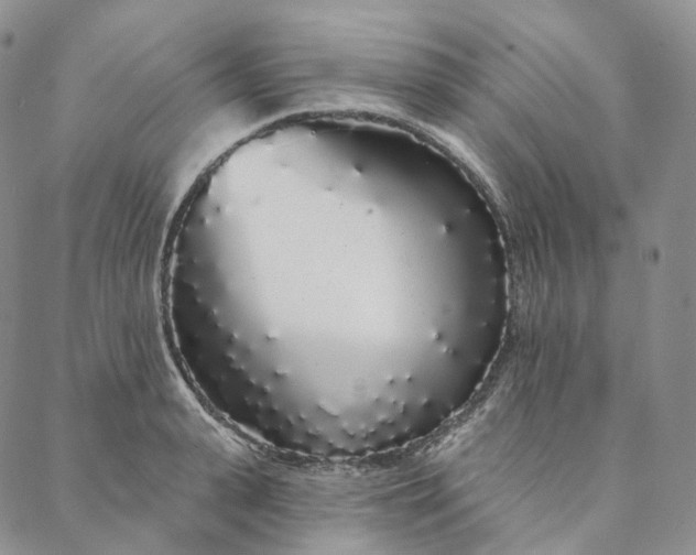 X0000088020943200705251048