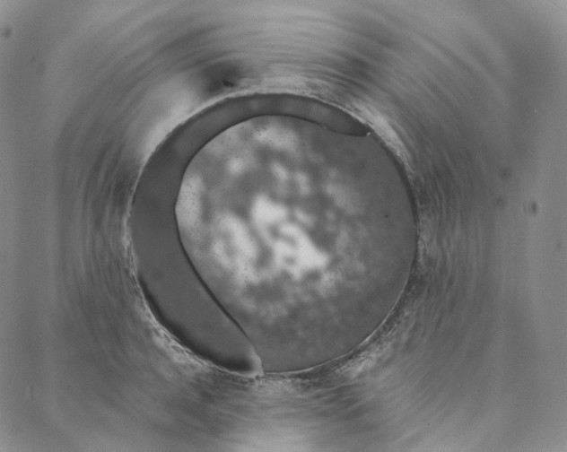 X0000088020944200705251048