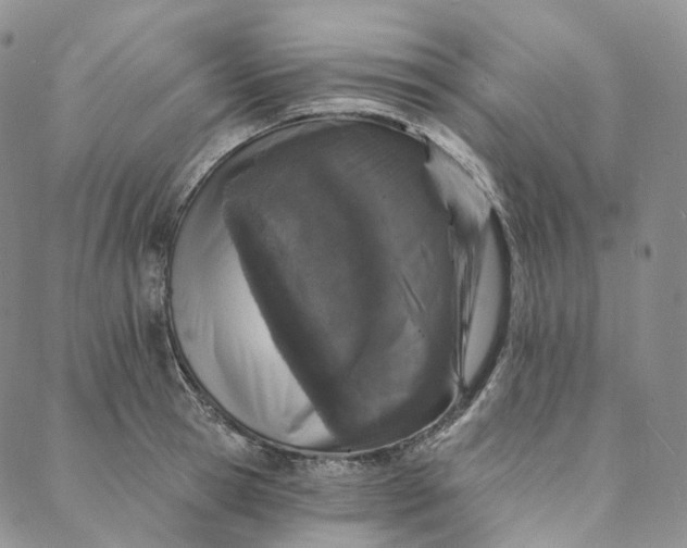 X0000088020945200705251048