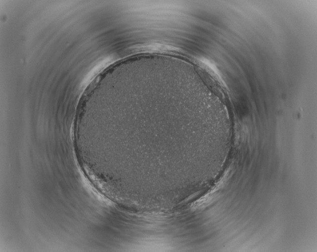 X0000088020946200705251048